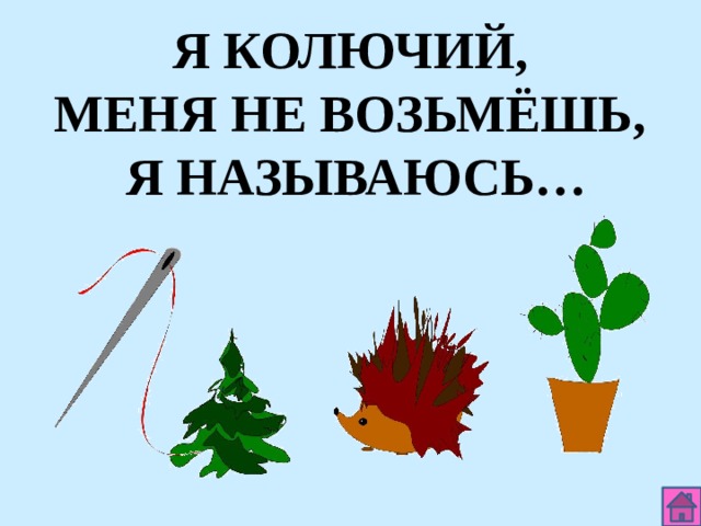 Я КОЛЮЧИЙ, МЕНЯ НЕ ВОЗЬМЁШЬ, Я НАЗЫВАЮСЬ… 