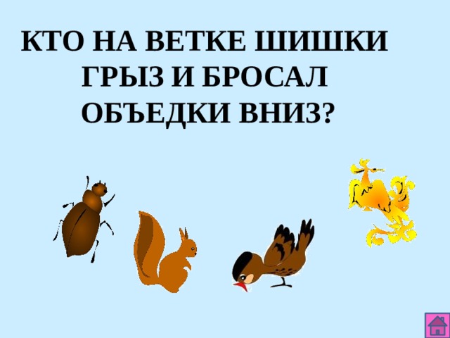 КТО НА ВЕТКЕ ШИШКИ ГРЫЗ И БРОСАЛ ОБЪЕДКИ ВНИЗ? 