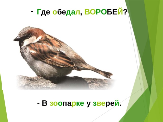  Г де о бе да л , ВО РО БЕ Й ?       - В зо о па р ке у з ве ре й .  