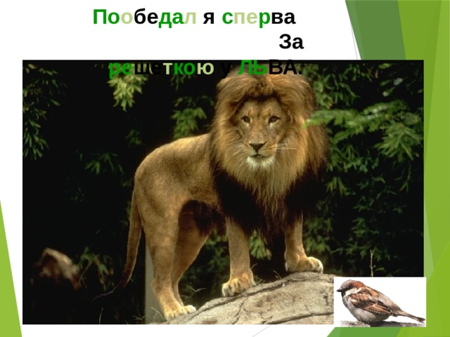 По о бе да л я с пе р ва За ре ше т ко ю у ЛЬ ВА.  