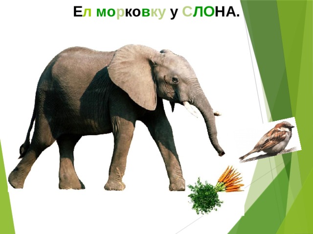 Е л  мо р ко в ку у С ЛО НА.  