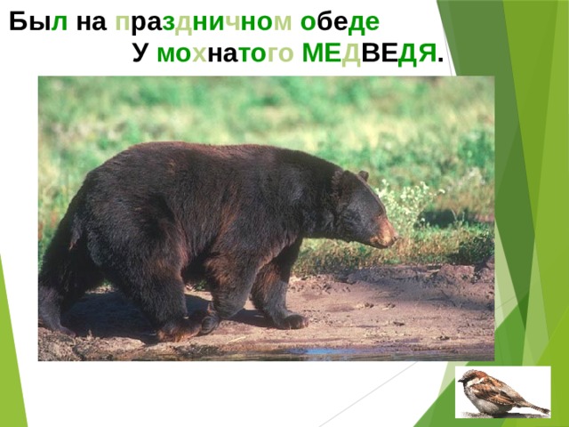 Бы л на п ра з д ни ч но м  о бе де У мо х на то го МЕ Д ВЕ ДЯ .  