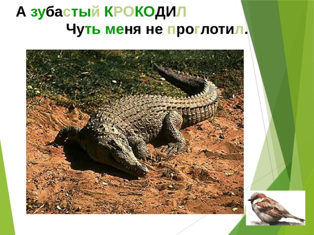 А зу ба с ты й  К РО КО ДИ Л Чу ть  ме ня не п ро г лоти л .  