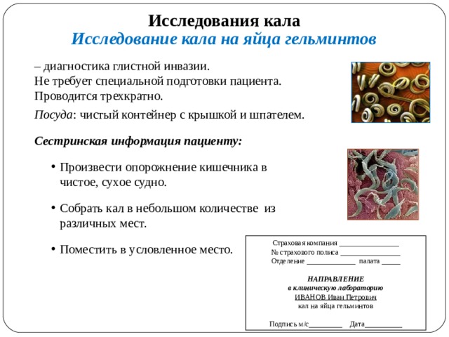 Кал на яйца глист как выглядит Электронное учебное пособие для проведения занятия по теме: " Технологии подгото