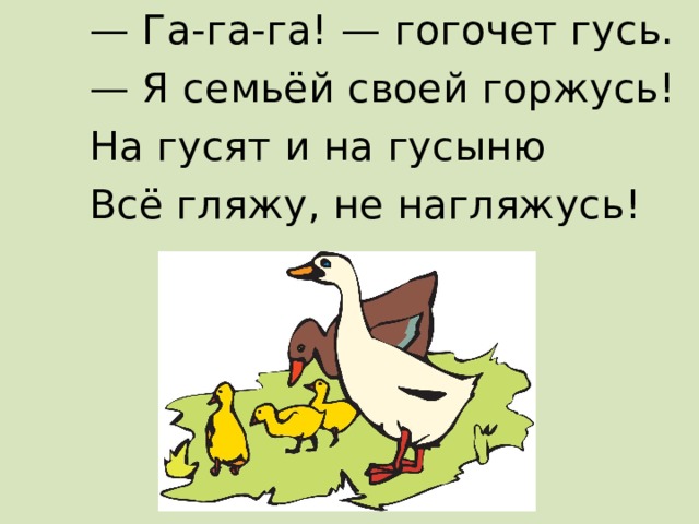 — Га-га-га! — гогочет гусь. — Я семьёй своей горжусь! На гусят и на гусыню Всё гляжу, не нагляжусь! 