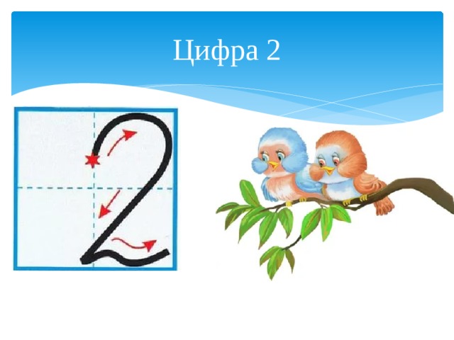 Цифра 2 1 класс. Показ написания цифры 2. Написание цифры два. Как правильно писать цифру 2. Цифра два правильное написание.