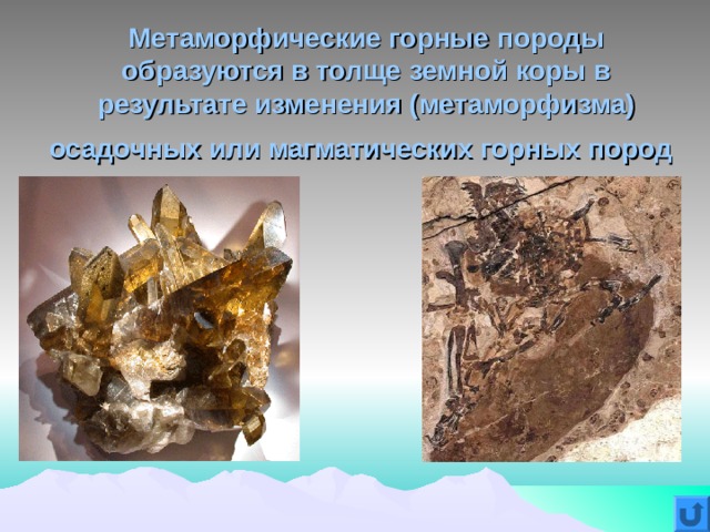 Метаморфические горные породы образуются в толще земной коры в результате изменения (метаморфизма) осадочных или магматических горных пород  