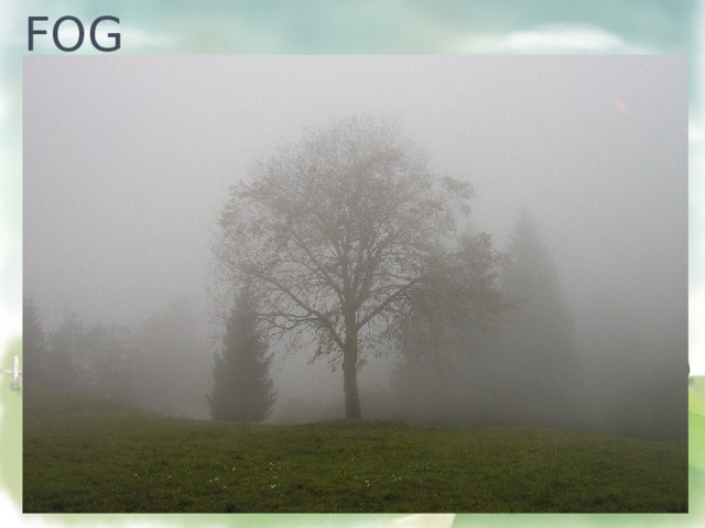 FOG 