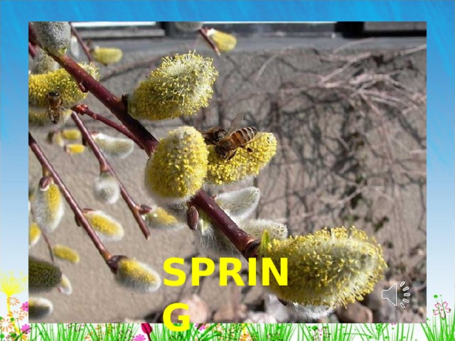 SPRING 