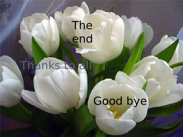 The end Thanks to all Good bye 