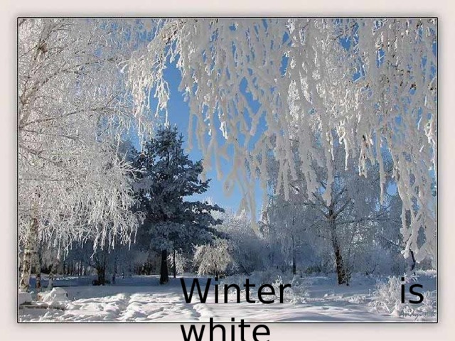 Winter is white 