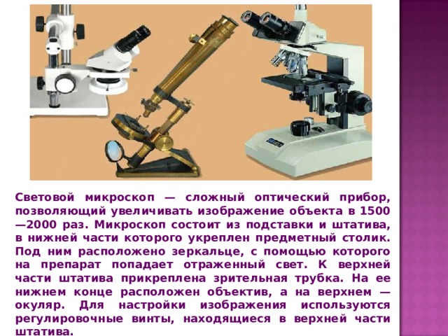 Увеличение изображения обеспечиваемое световым микроскопом соответствует увеличение