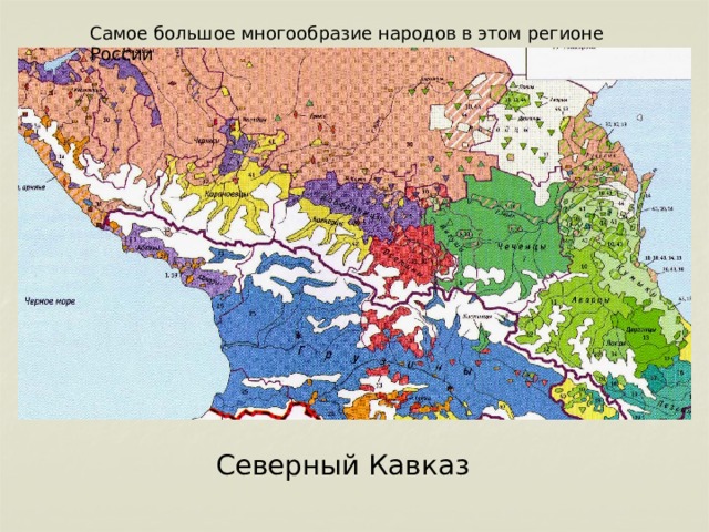 Самое большое многообразие народов в этом регионе России Северный Кавказ 