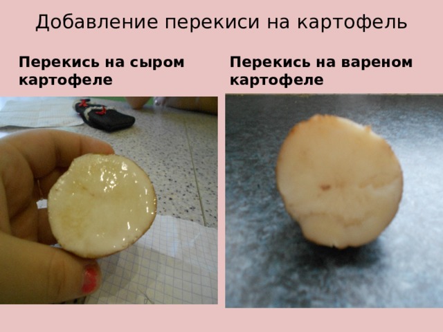 Добавление перекиси на картофель Перекись на сыром картофеле Перекись на вареном картофеле 