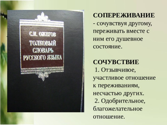 В сухомлинский почему плачет синичка 2 класс перспектива презентация