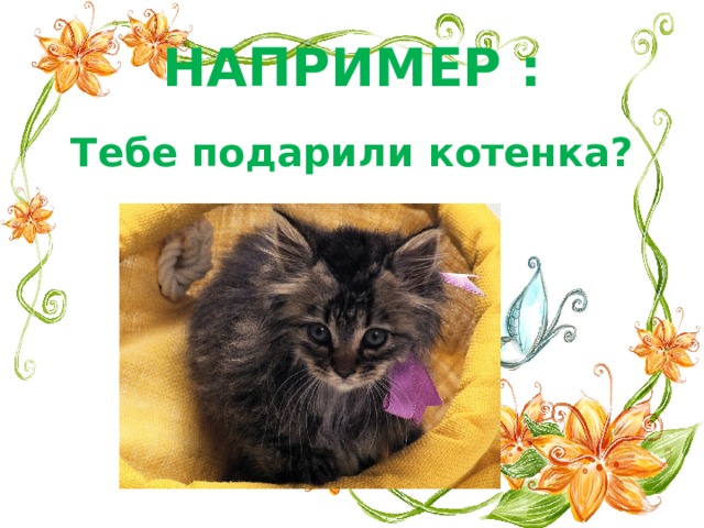 НАПРИМЕР : Тебе подарили котенка? 