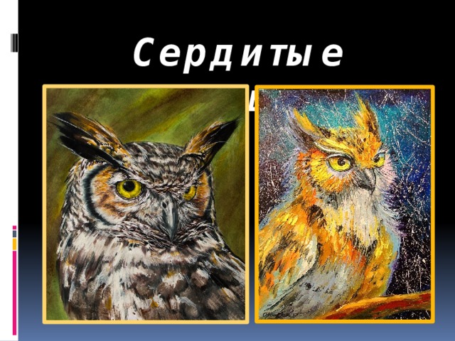 Сердитые совушки 