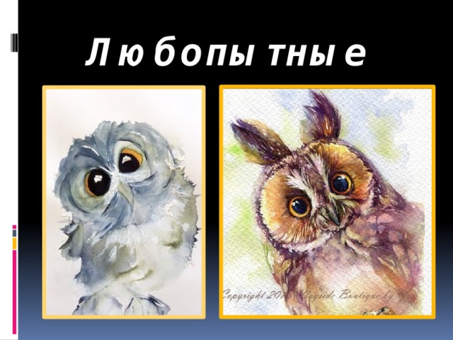 Любопытные  