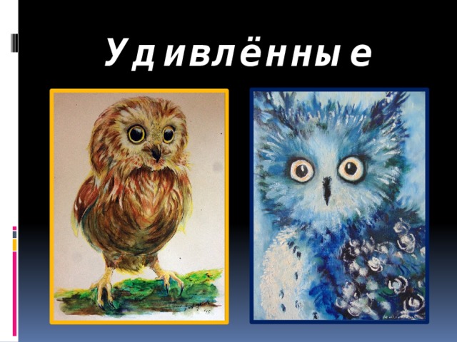 Удивлённые 
