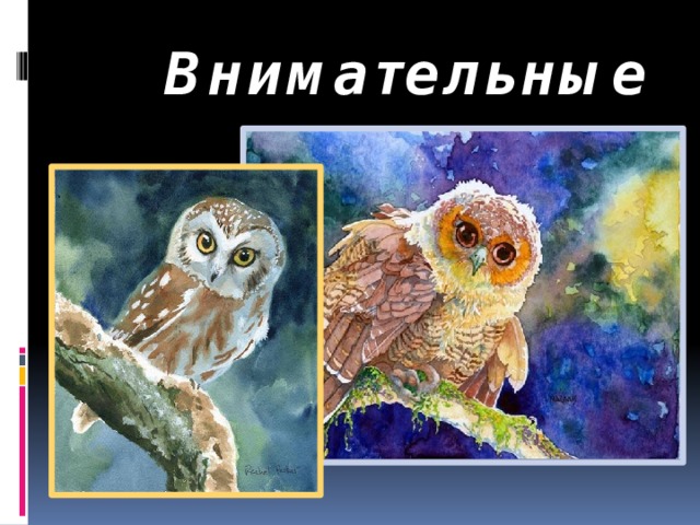 Внимательные  