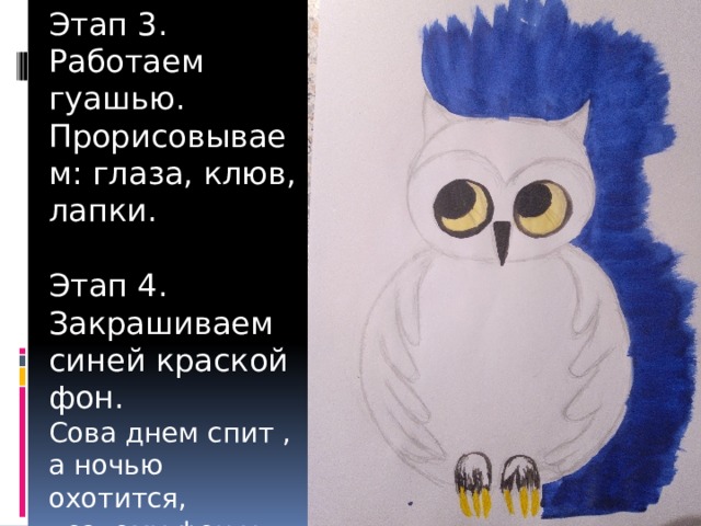 Этап 3. Работаем гуашью. Прорисовываем: глаза, клюв, лапки. Этап 4. Закрашиваем синей краской фон. Сова днем спит , а ночью охотится, поэтому фон у нас темный – «ночной». 