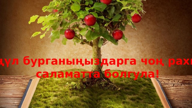 Көңүл бурганыңыздарга чоң рахмат, саламатта болгула! 