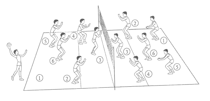 Правила игры зона. Волейбол расположение игроков на поле. Схема расстановки игроков на волейбольной площадке. Расстановка игроков в волейболе рисунок. Волейбол размещение игроков на площадке.