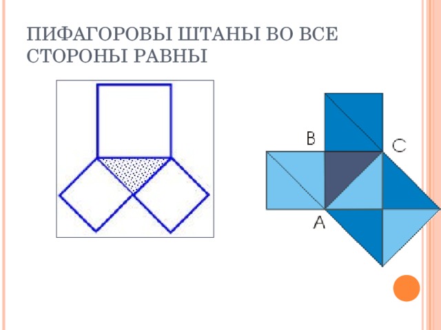 Пифагоровы штаны картинка