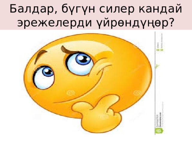 Балдар, бүгүн силер кандай эрежелерди үйрөндүңөр? 