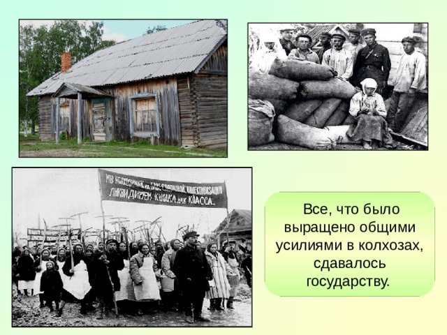  Все, что было выращено общими усилиями в колхозах, сдавалось государству.  