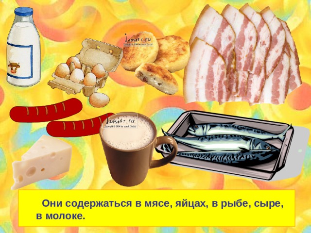  Они содержаться в мясе, яйцах, в рыбе, сыре, в молоке. 