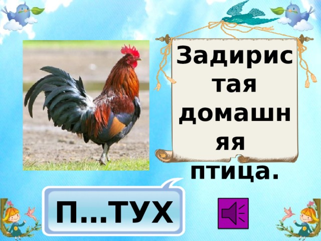 Задиристая домашняя птица.   П…ТУХ 