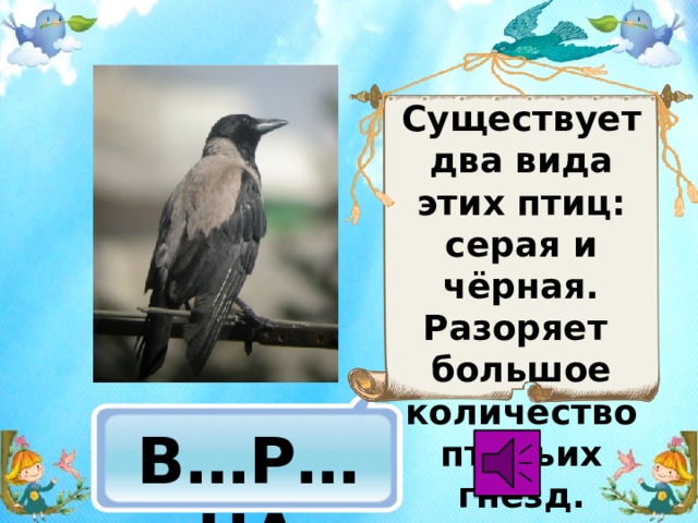 Существует два вида этих птиц: серая и чёрная. Разоряет большое количество птичьих гнёзд.  В…Р…НА 