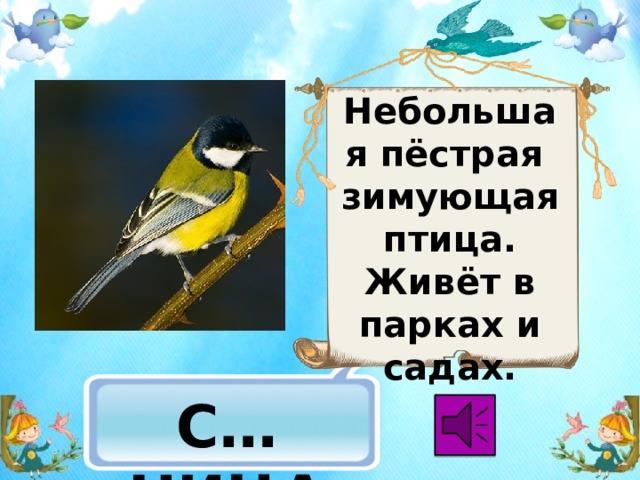 Небольшая пёстрая зимующая птица. Живёт в парках и садах.  С…НИЦА 