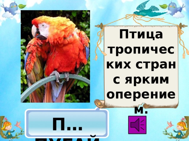 Птица тропических стран с ярким оперением.  П…ПУГАЙ 
