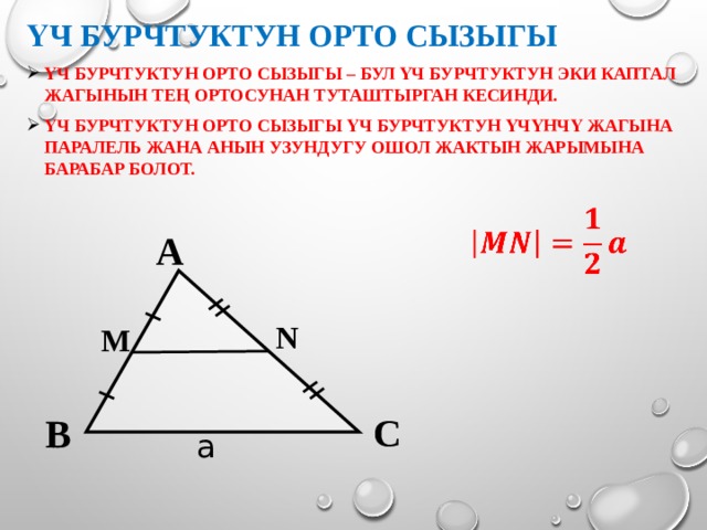 Үч бурчтуктун орто сызыгы Үч бурчтуктун орто сызыгы – бул үч бурчтуктун эки каптал жагынын тең ортосунан туташтырган кесинди. Үч бурчтуктун орто сызыгы үч бурчтуктун үчүнчү жагына паралель жана анын узундугу ошол жактын жарымына барабар болот.     A N М С B a  