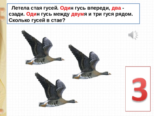  Летела стая гусей. Оди н гусь впереди, два - сзади. Оди н гусь между двум я и три гуся рядом. Сколько гусей в стае? 