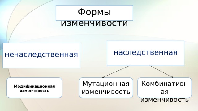 Закономерности изменчивости презентация