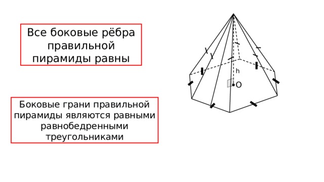 Все боковые рёбра правильной пирамиды равны h О Боковые грани правильной пирамиды являются равными равнобедренными треугольниками 