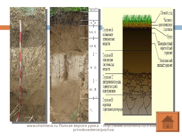 www.shishlena.ru Полная версия урока - http://www.shishlena.ru/5-klass-prirodovedenie/pochva  