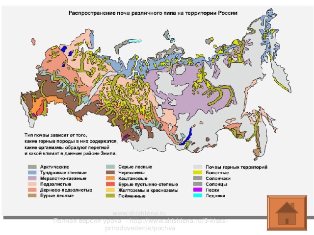 www.shishlena.ru Полная версия урока - http://www.shishlena.ru/5-klass-prirodovedenie/pochva 