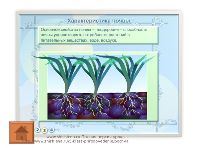 www.shishlena.ru Полная версия урока - http://www.shishlena.ru/5-klass-prirodovedenie/pochva 