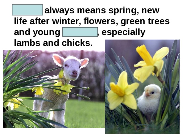 Easter always means spring, new life after winter, flowers, green trees and young animals, especially lambs and chicks. 