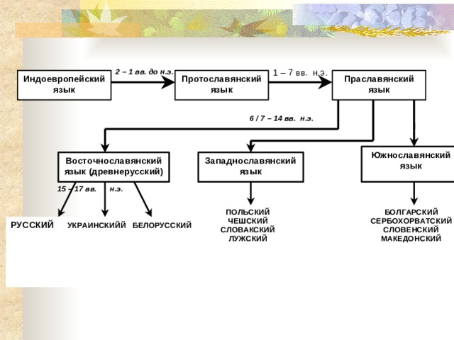 Славянские языки и их развитие проект