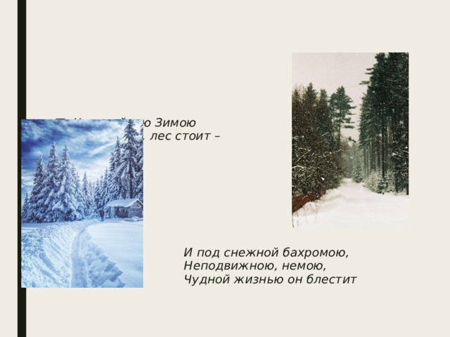 Чародейкою Зимою  Околдован, лес стоит –       И под снежной бахромою,   Неподвижною, немою,   Чудной жизнью он блестит 