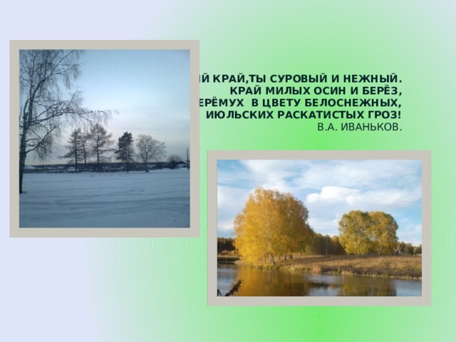 МИЛЫЙ КРАЙ,ТЫ СУРОВЫЙ И НЕЖНЫЙ.  КРАЙ МИЛЫХ ОСИН И БЕРЁЗ,  ЧЕРЁМУХ В ЦВЕТУ БЕЛОСНЕЖНЫХ,  ИЮЛЬСКИХ РАСКАТИСТЫХ ГРОЗ!  В.А. ИВАНЬКОВ.   