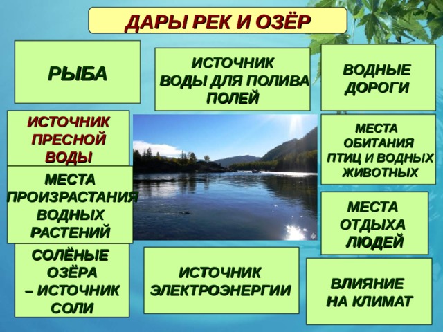 Проект река мира