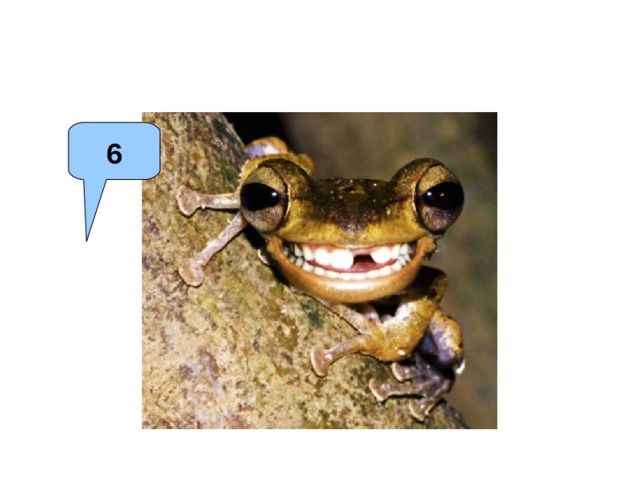 6 