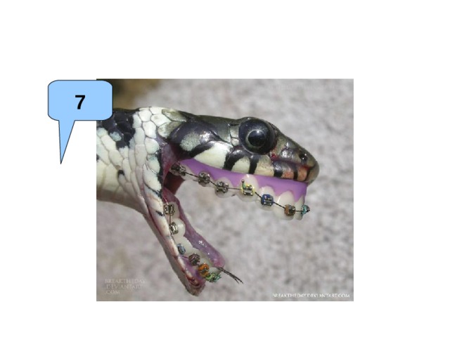 7 