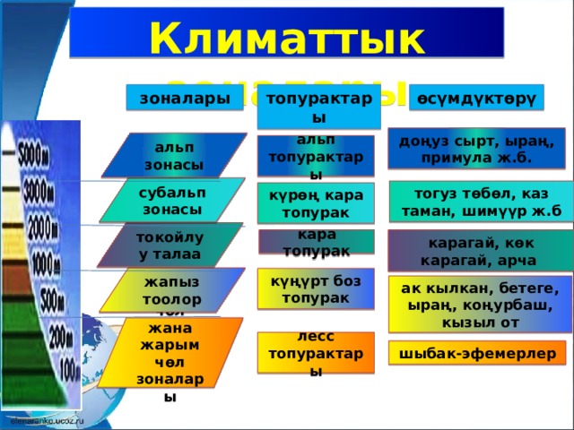 Климаттык зоналары топурактары өсүмдүктөрү зоналары доңуз сырт, ыраң, примула ж.б. альп зонасы альп топурактары субальп зонасы тогуз төбөл, каз таман, шимүүр ж.б күрөң кара топурак токойлуу талаа кара топурак карагай, көк карагай, арча жапыз тоолор күңүрт боз топурак ак кылкан, бетеге, ыраң, коңурбаш, кызыл от чөл жана жарым чөл зоналары лесс топурактары шыбак-эфемерлер 